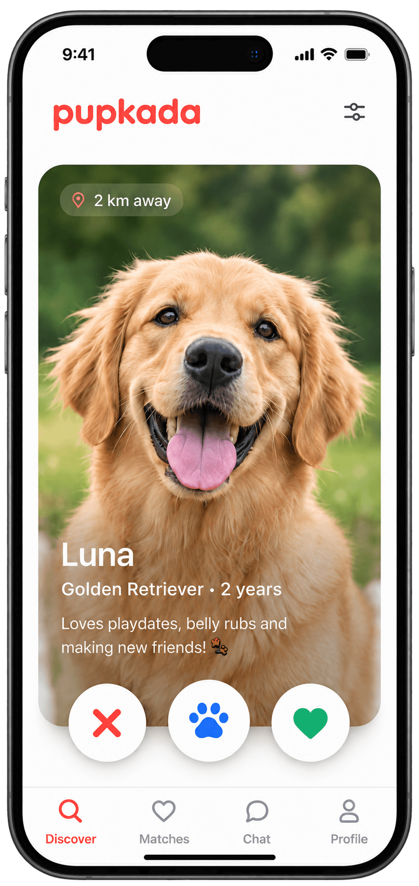 Pupkada pet discovery screen